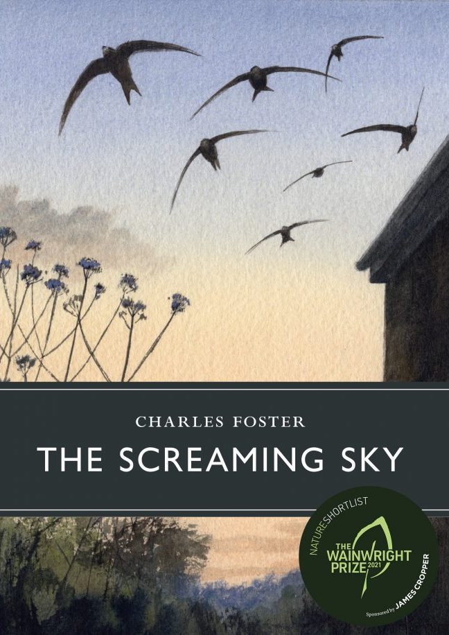 The Screaming Sky cover